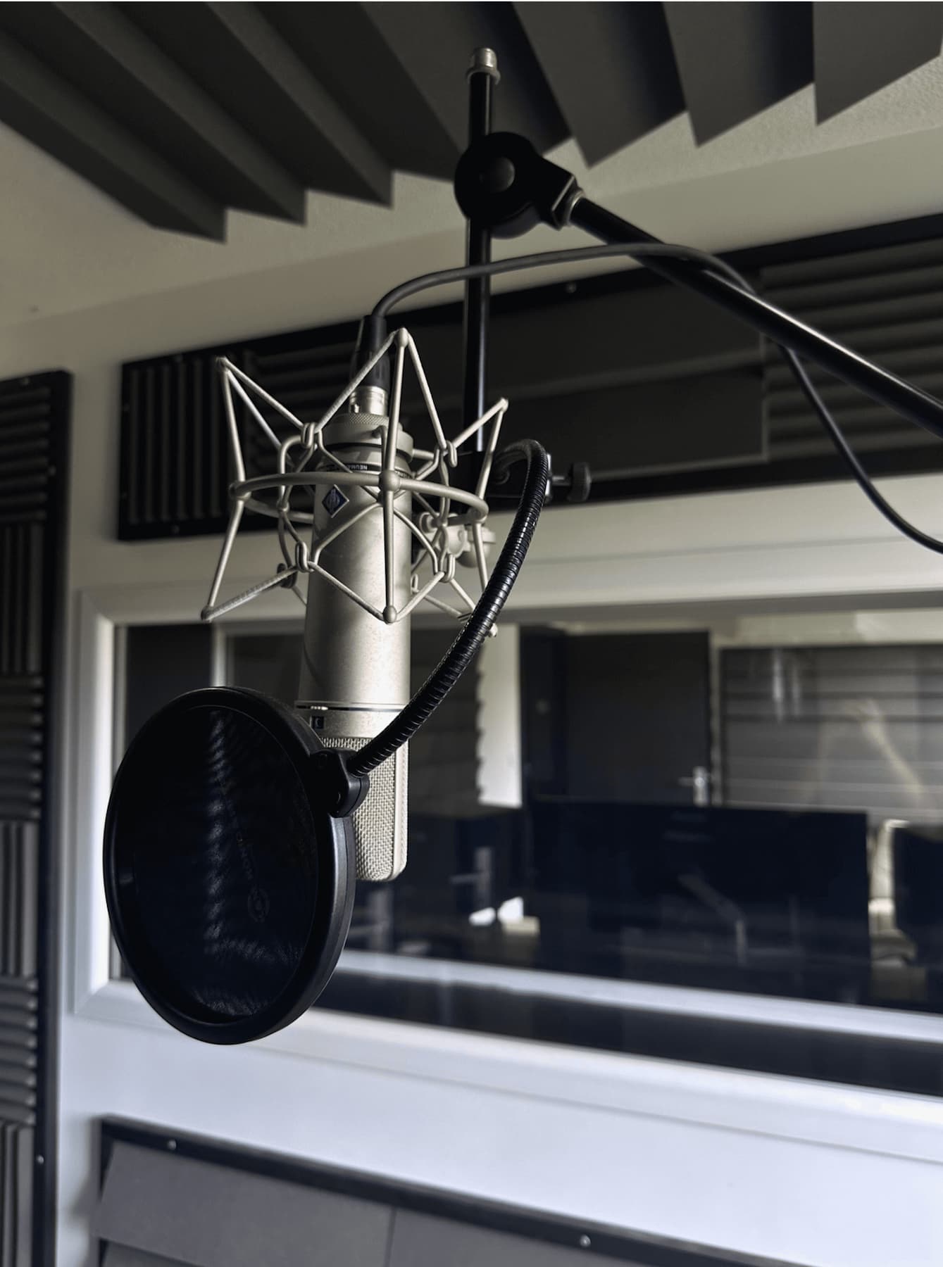 Microphone avec filtre antipop